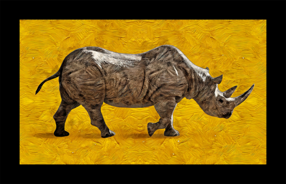 Rhino Glass Wall Art