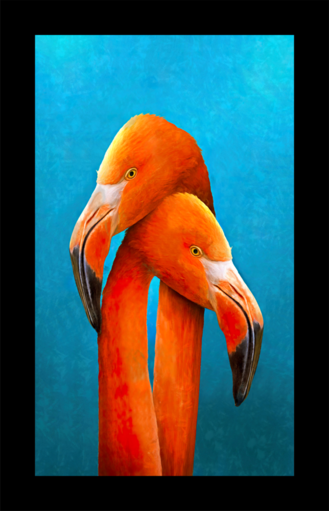 Flamingos Glass Wall Art