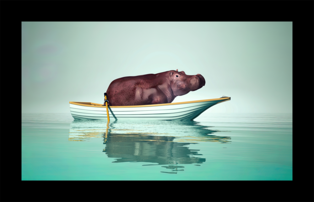 Hippo Glass Wall Art