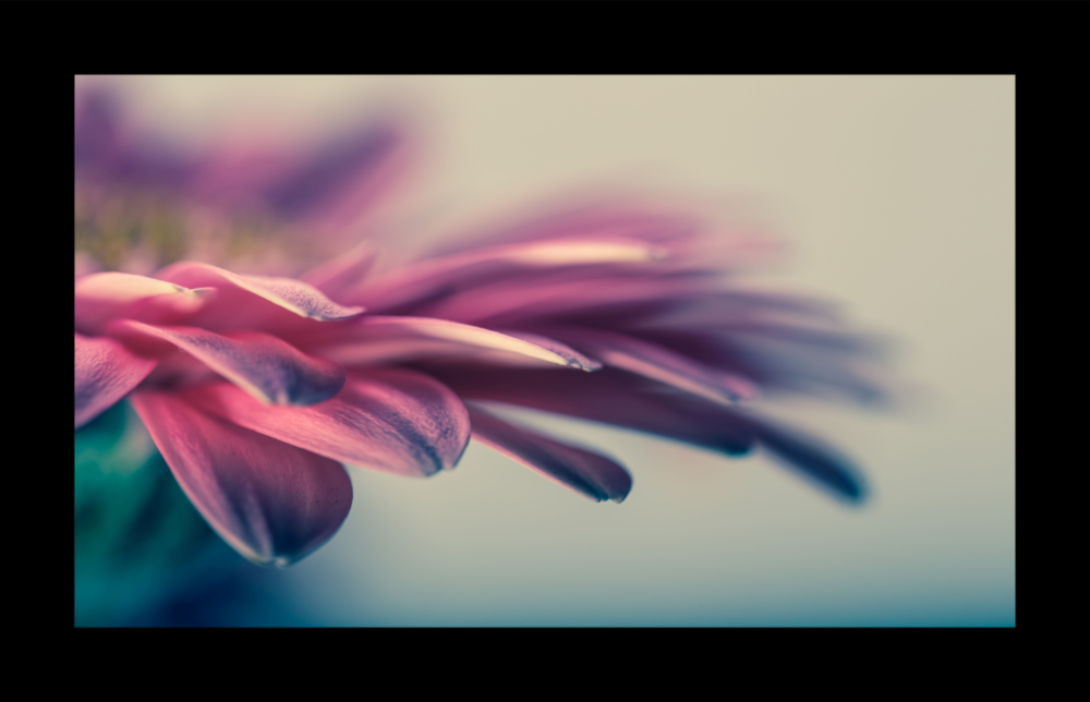 Flower Glass Wall Art