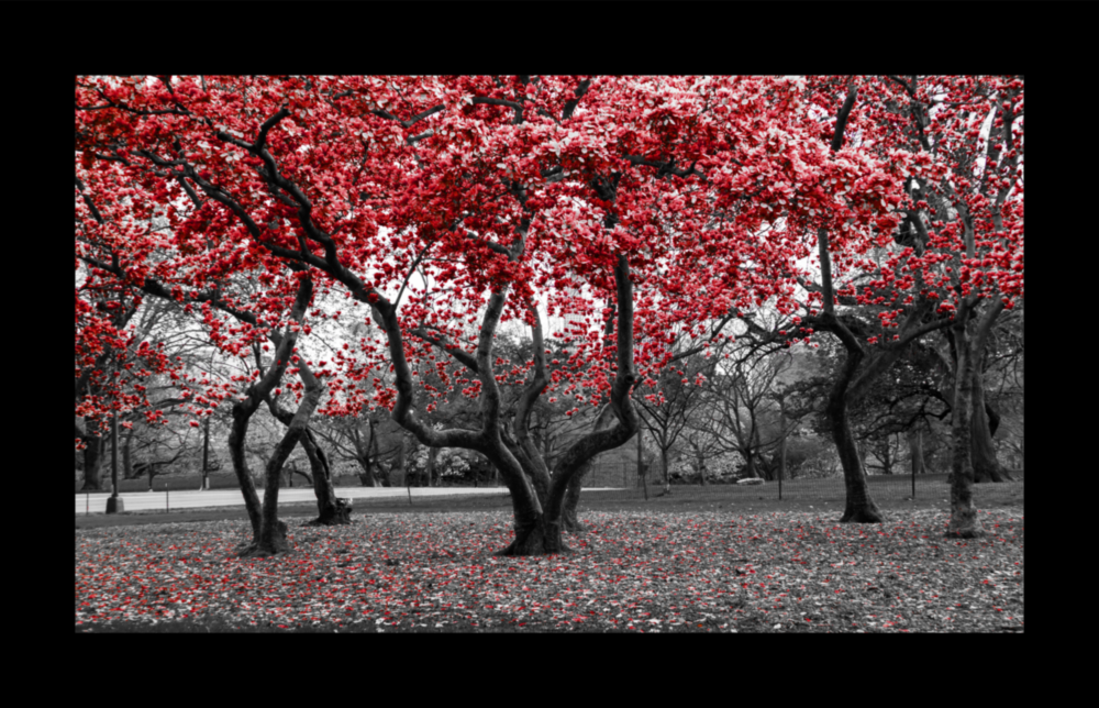 Red Trees Glass Wall Art