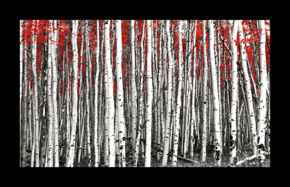 Red Forest Glass Wall Art
