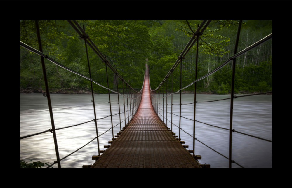 Forest Bridge Glass Wall Art