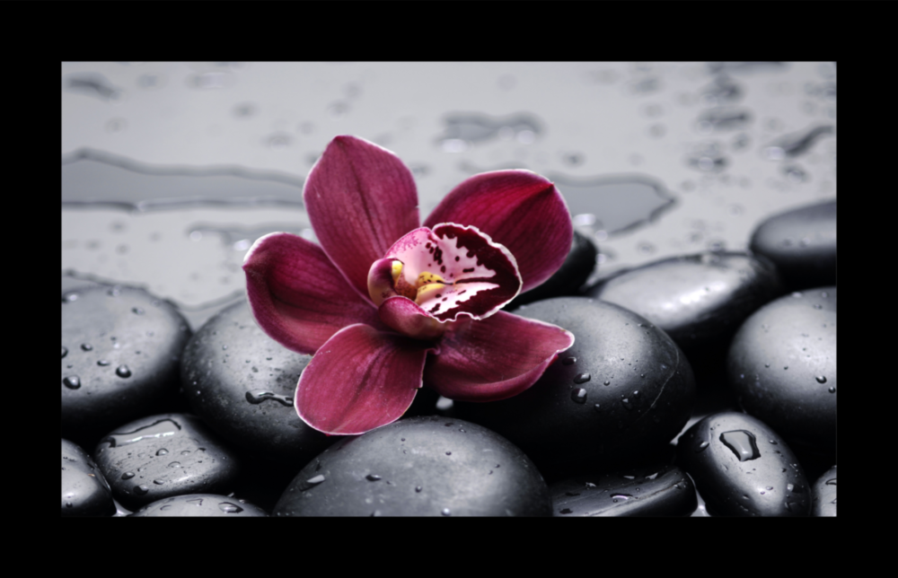 Orchid Glass Wall Art