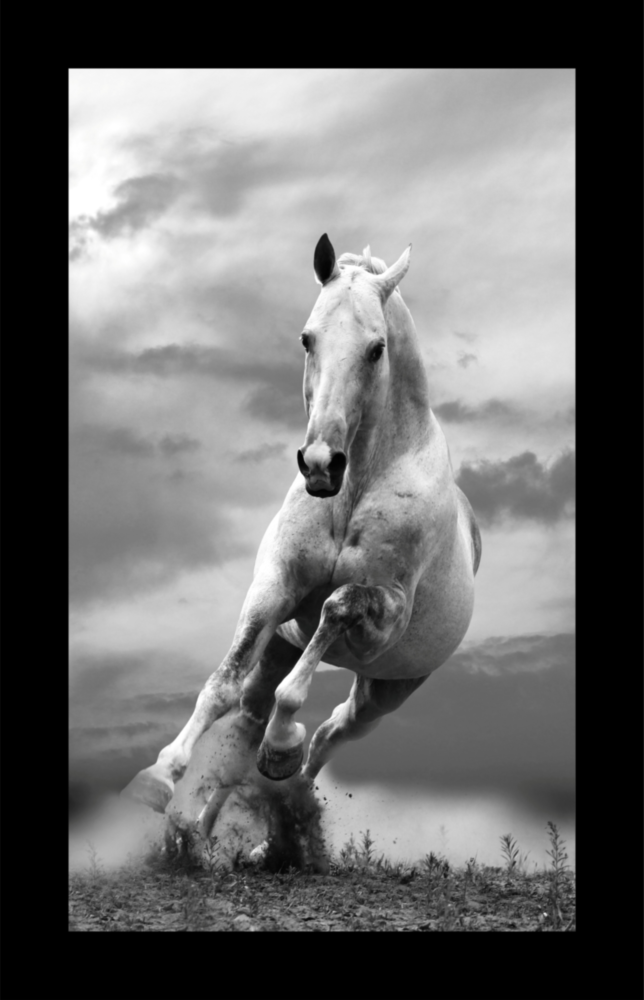 Horse Glass Wall Art