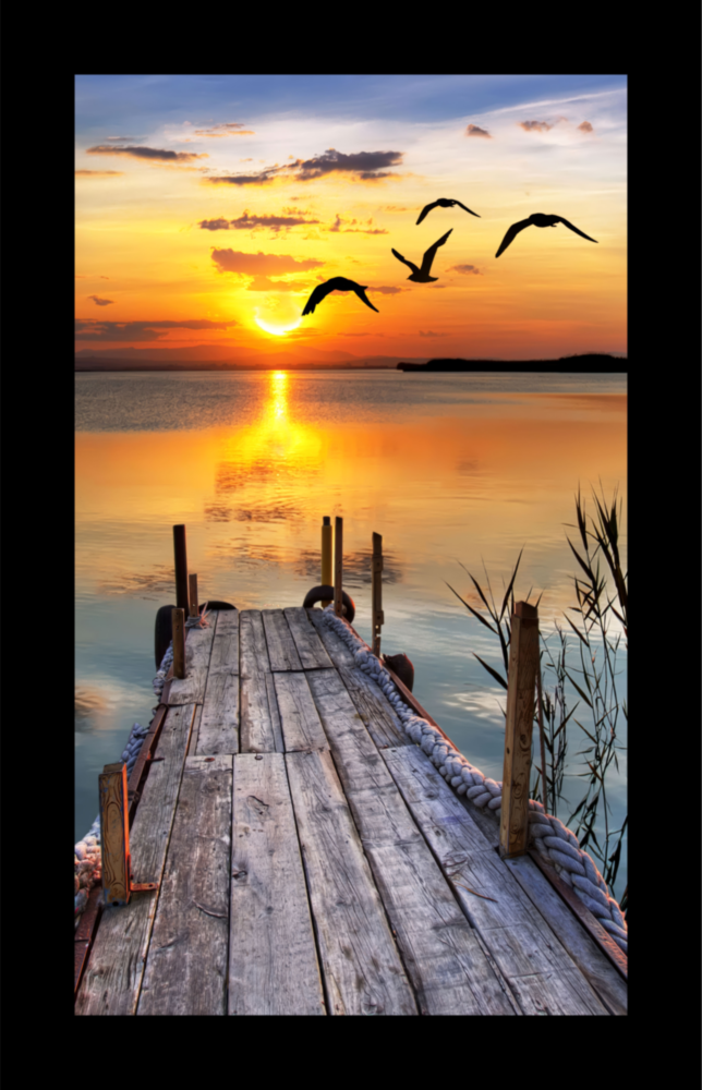 Sunset and the Birds Glass Wall Art