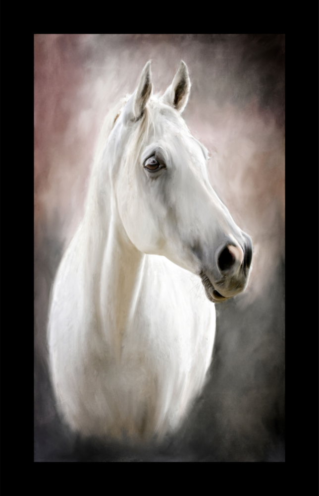 Horse Glass Wall Art