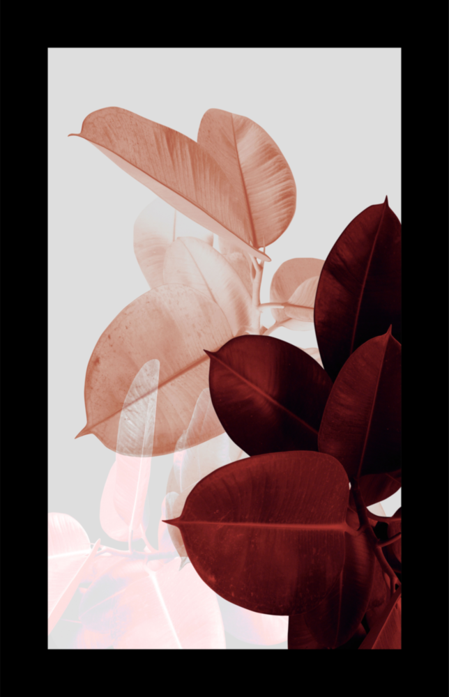 Leaves Glass Wall Art