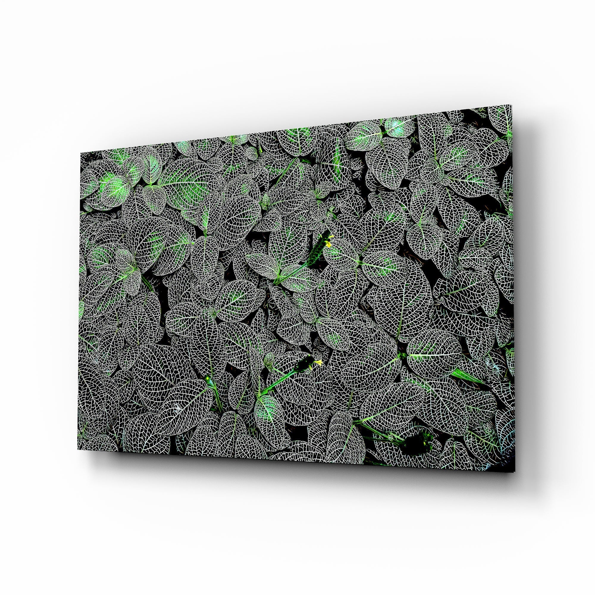 Luminous Leaf Veins Glass Wall Art