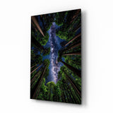 Redwood Canopy Milky Way Night Sky Glass Wall Art