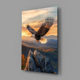 Soaring Bald Eagle Autumn Sunset Glass Wall Art