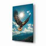 Bald Eagle Sunburst Blue Sky Glass Wall Art