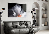 White Petal Flower Coral Heart Glass Wall Art
