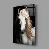 White Horse Flowing Mane Black Backdrop Glass Wall Art