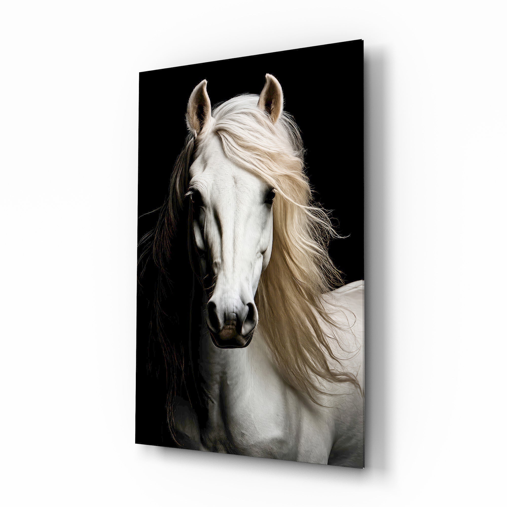 White Horse Flowing Mane Black Backdrop Glass Wall Art