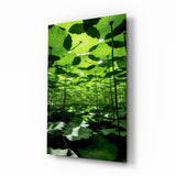 Under the Lotus Leaves Green Glass Wall Art