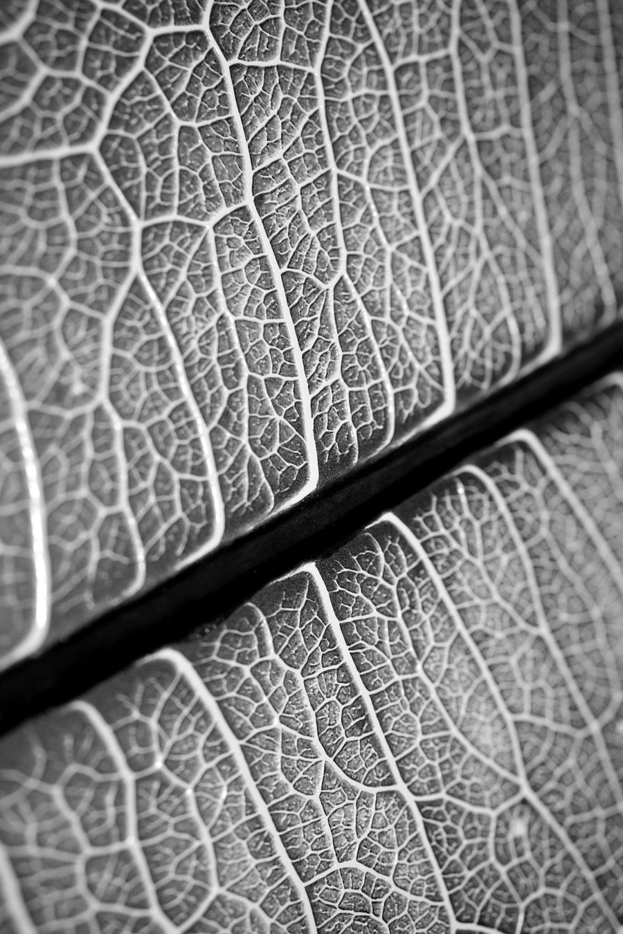 Silver Veins — Haptic 3D Embossed + Gloss Lacquer Print