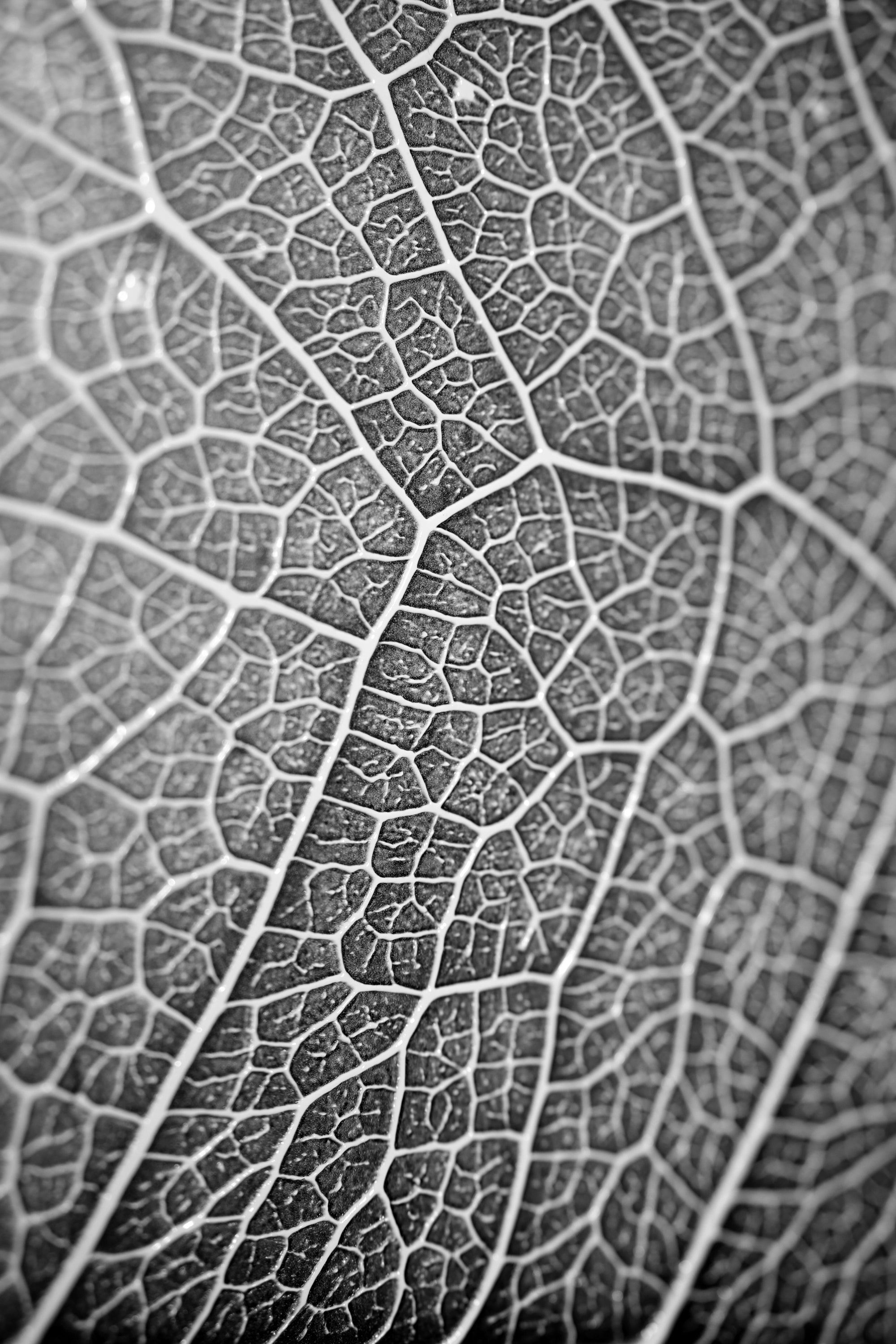 Silver Veins — Haptic 3D Embossed + Gloss Lacquer Print