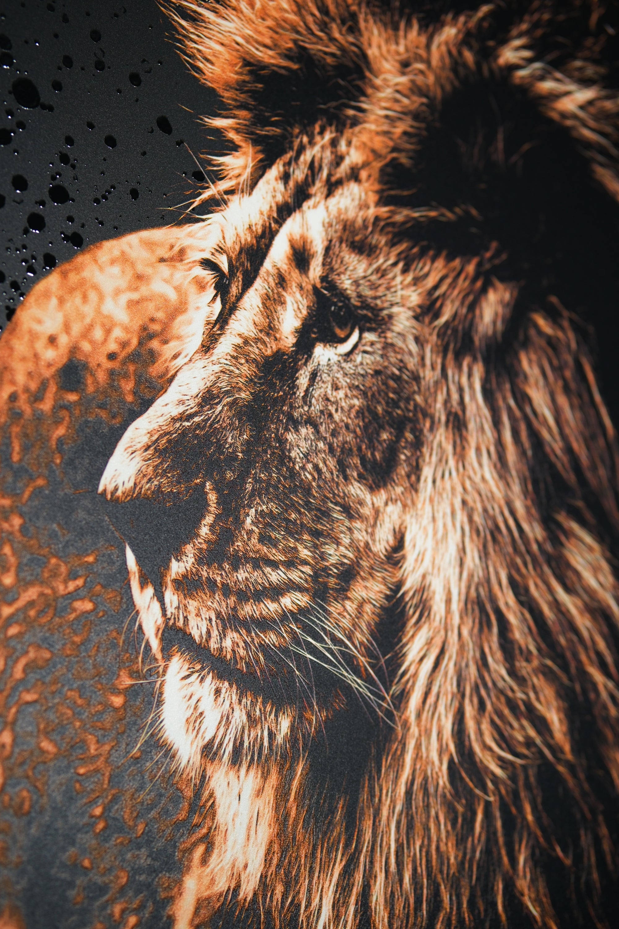 Lacquer Rain King — Haptic 3D Embossed + Pure Gloss Lacquer Print