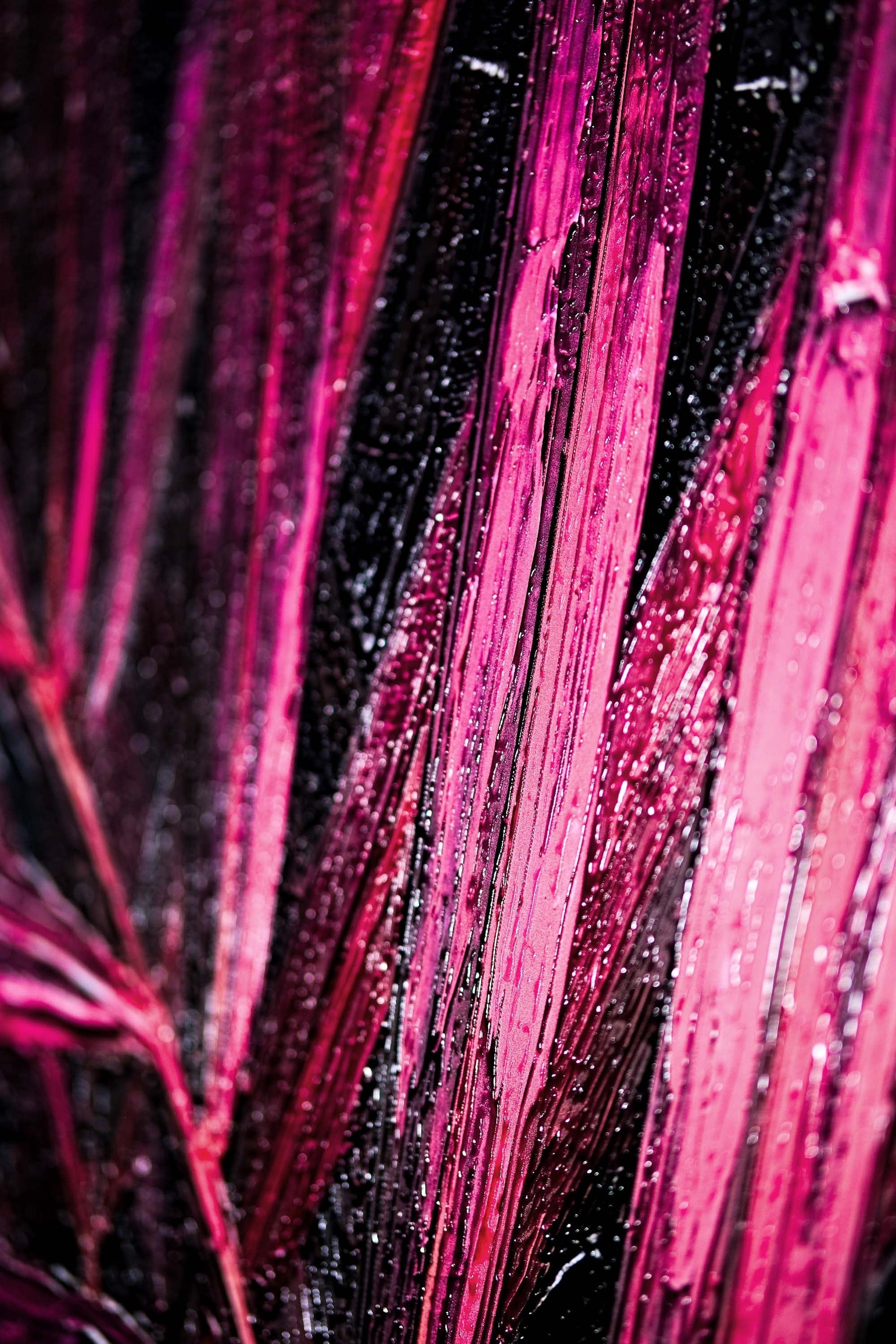 Magenta Midnight Frond — A Sculpted Pulse of Tropical Velvet