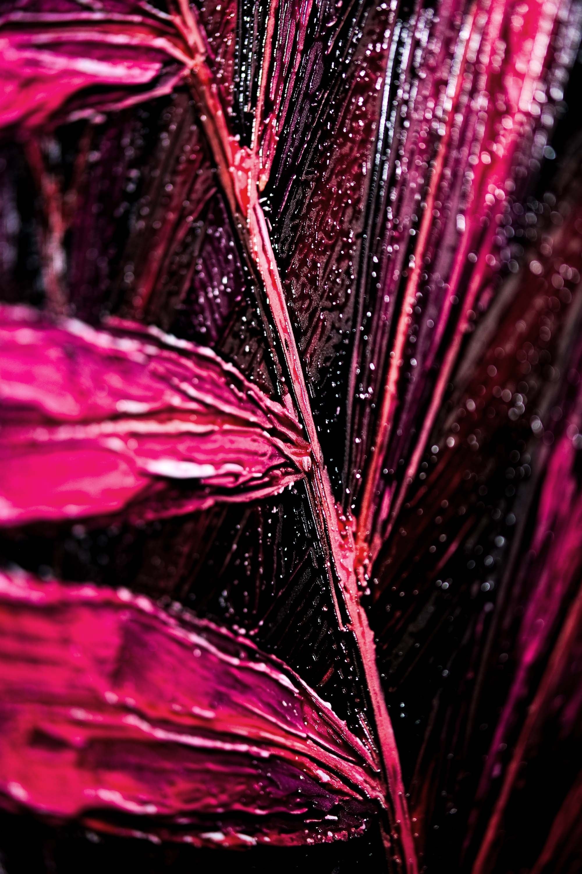 Magenta Midnight Frond — A Sculpted Pulse of Tropical Velvet