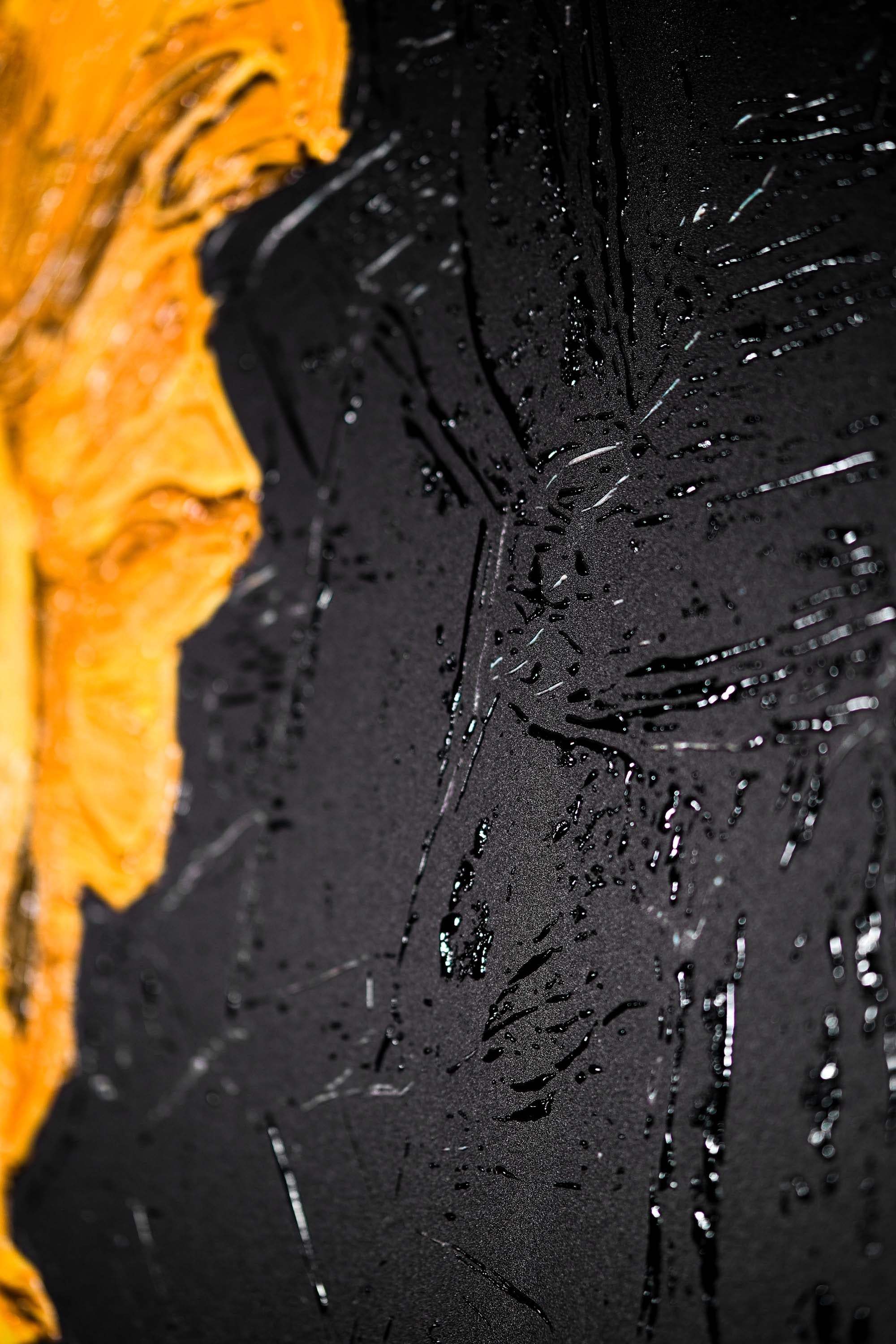 Gilded Obsidian Bloom — 3D Haptic Embossed High-Gloss Luxury Wall Art