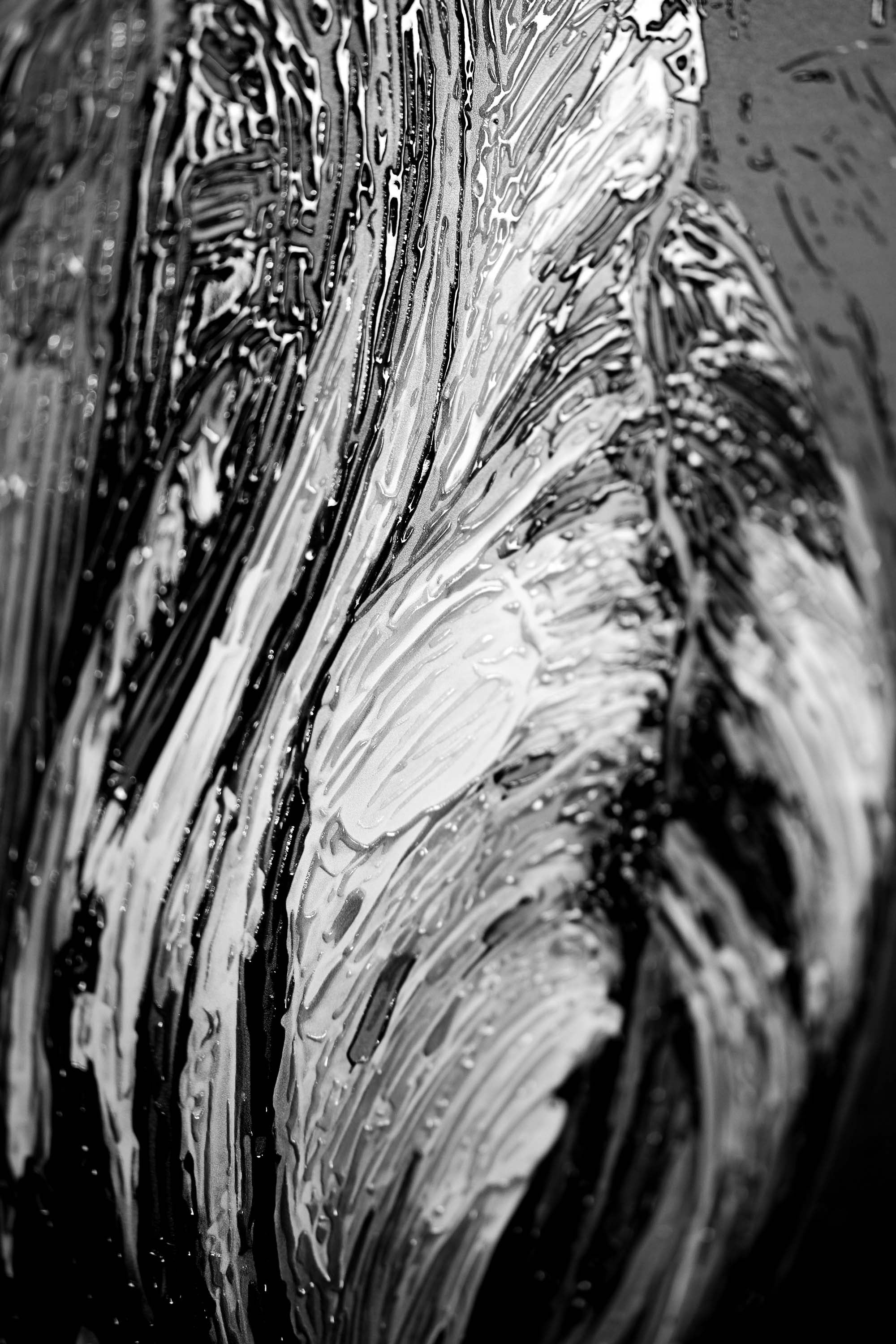 Obsidian & Ivory Grace — 3D Haptic Embossed High-Gloss Luxury Wall Art