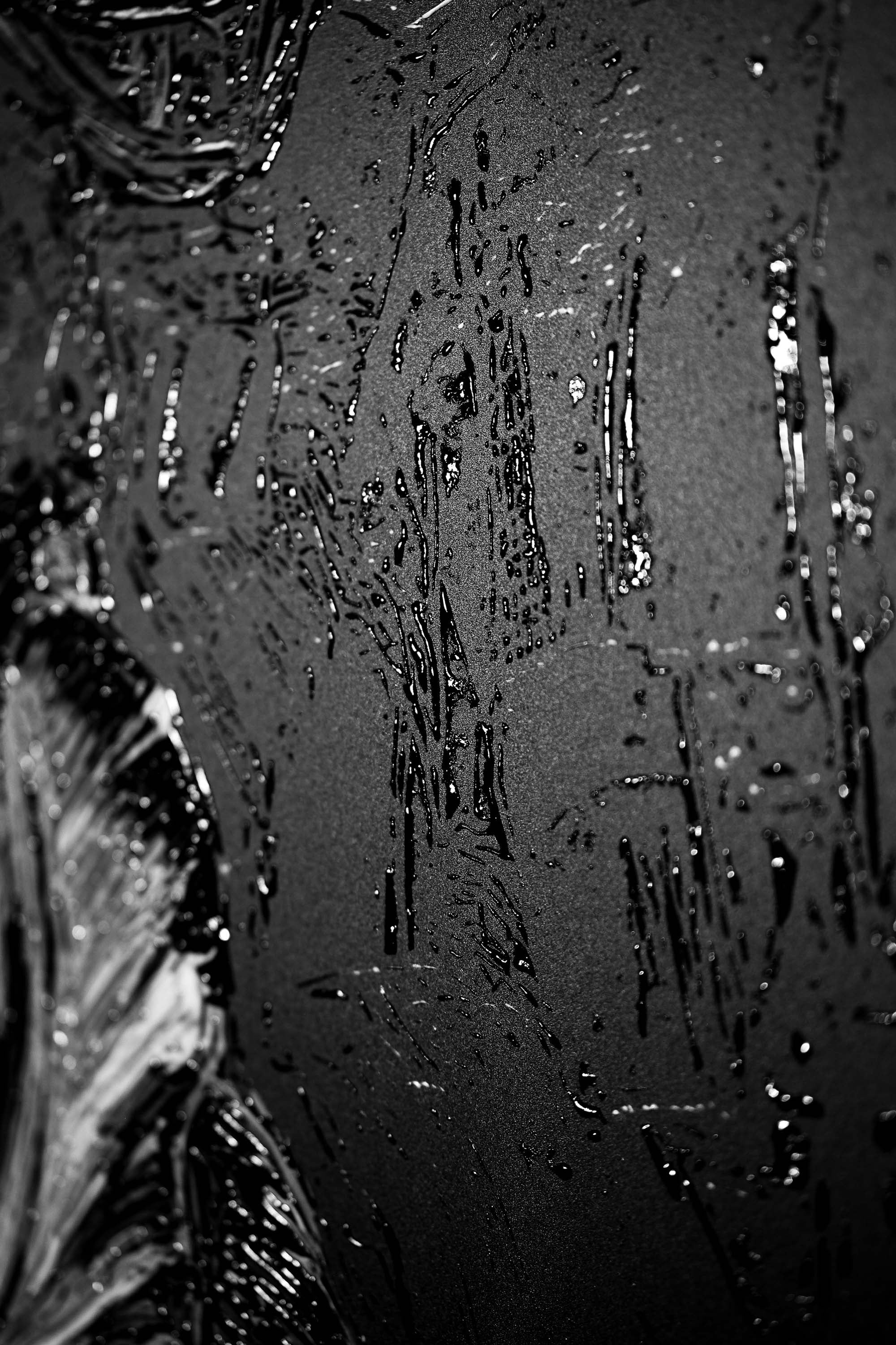 Obsidian & Ivory Grace — 3D Haptic Embossed High-Gloss Luxury Wall Art