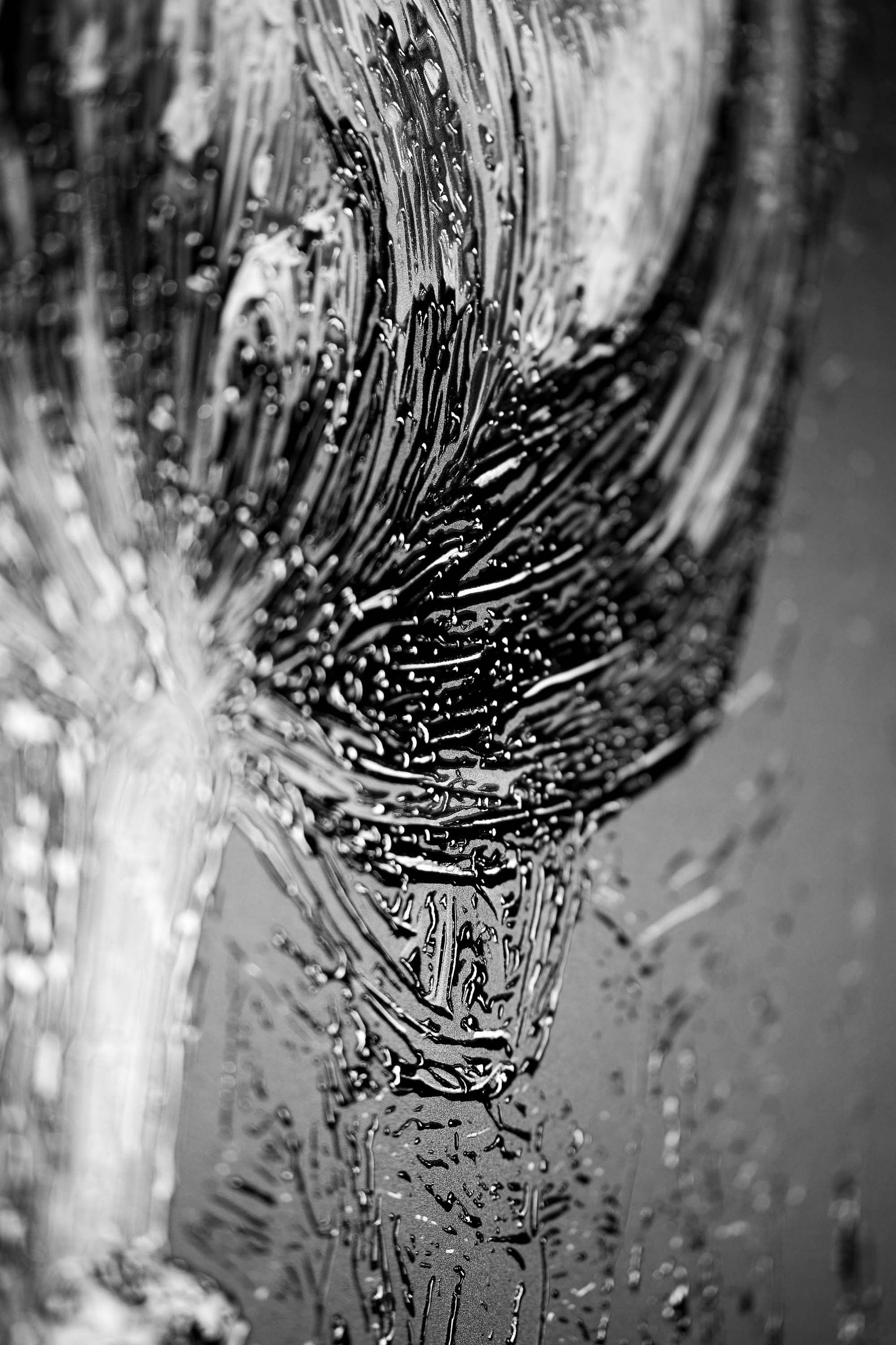 Obsidian & Ivory Grace — 3D Haptic Embossed High-Gloss Luxury Wall Art