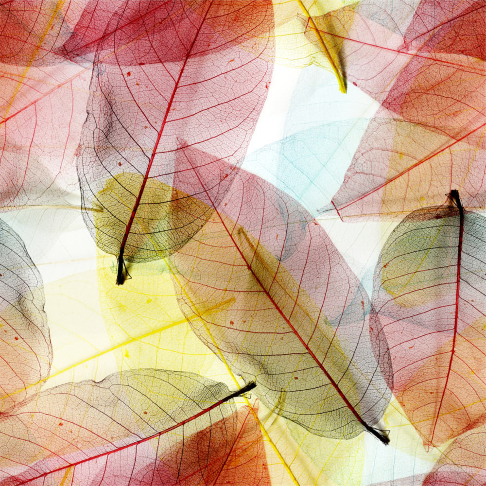 Colorful Leaves Glass Wall Art