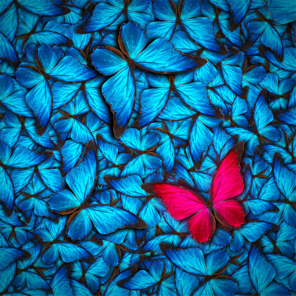 Butterfly Glass Wall Art