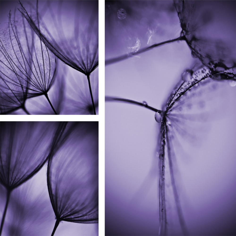 Flower Glass Wall Art