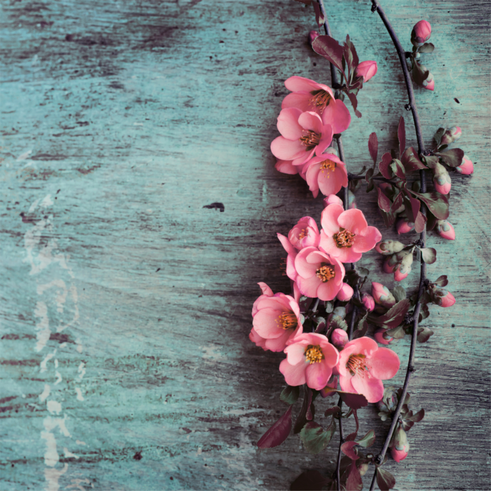 Flower Glass Wall Art