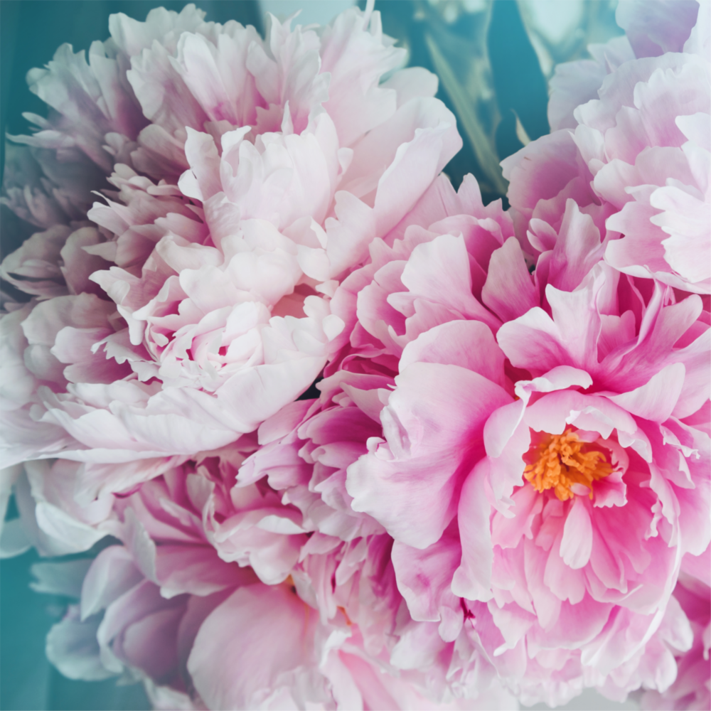 Flower Glass Wall Art