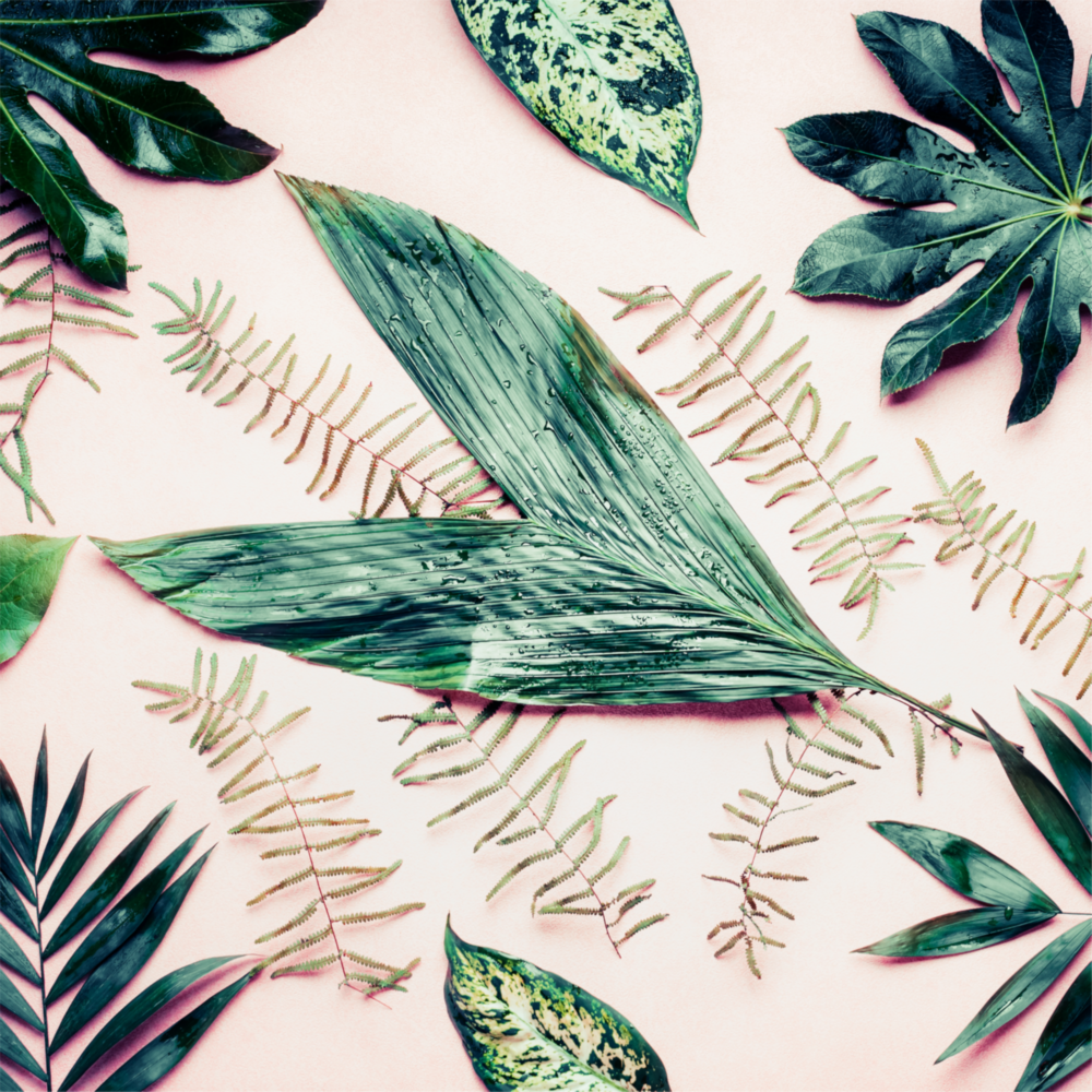 Tropical Leaves Glass Wall Art