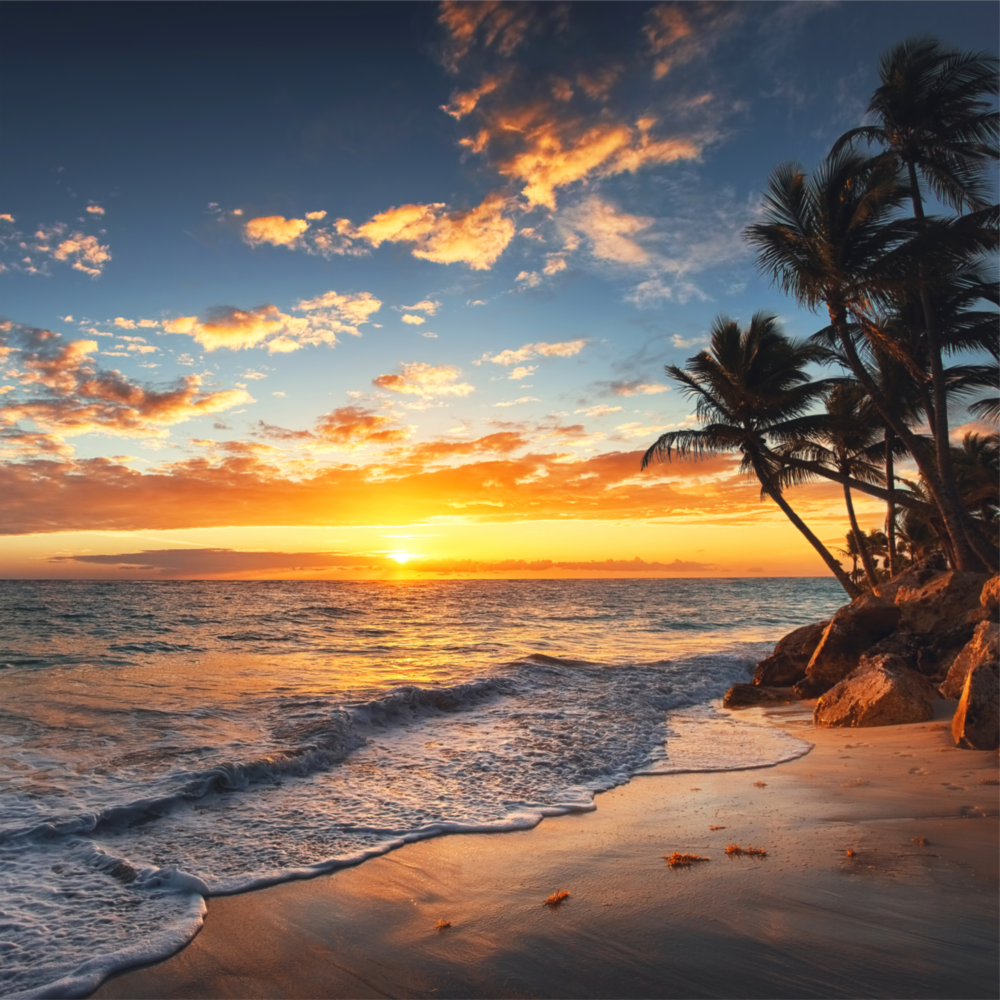 Palm Trees Glass Wall Art