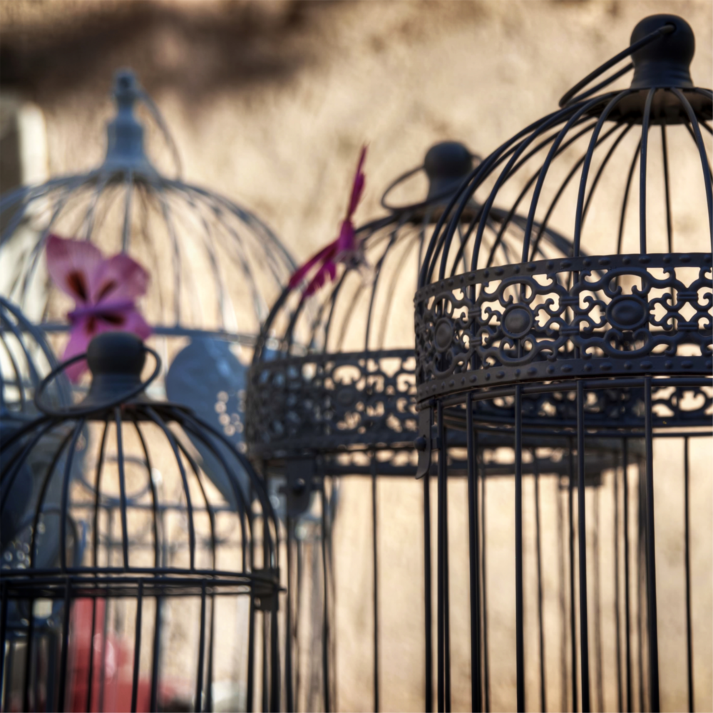 Bird Cage Glass Wall Art