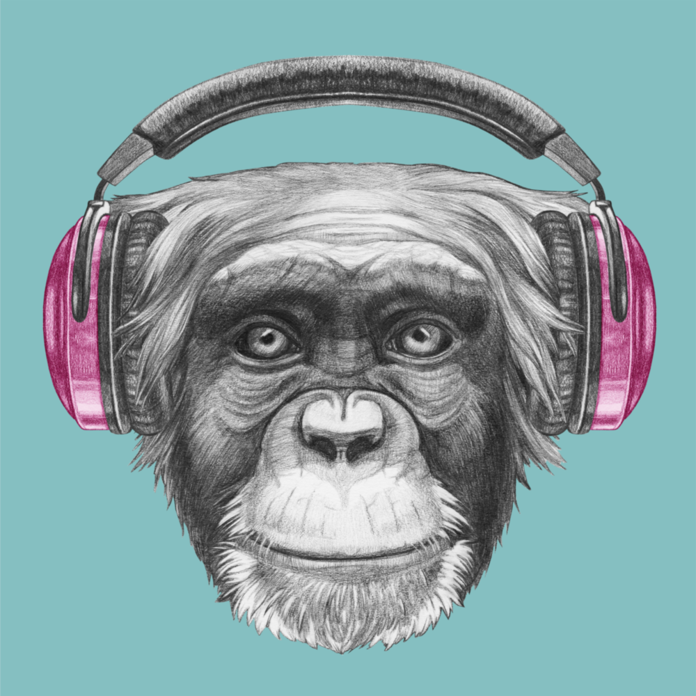 Monkey Glass Wall Art