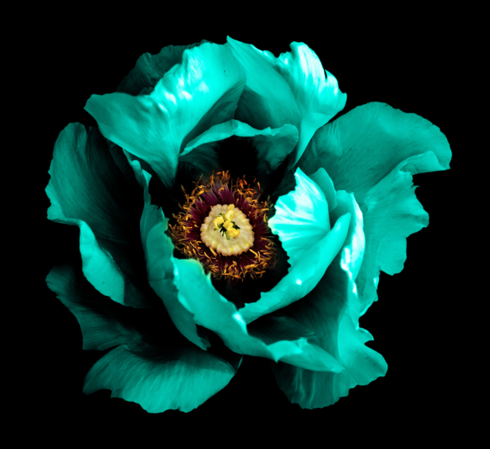 Floral Green Glass Wall Art