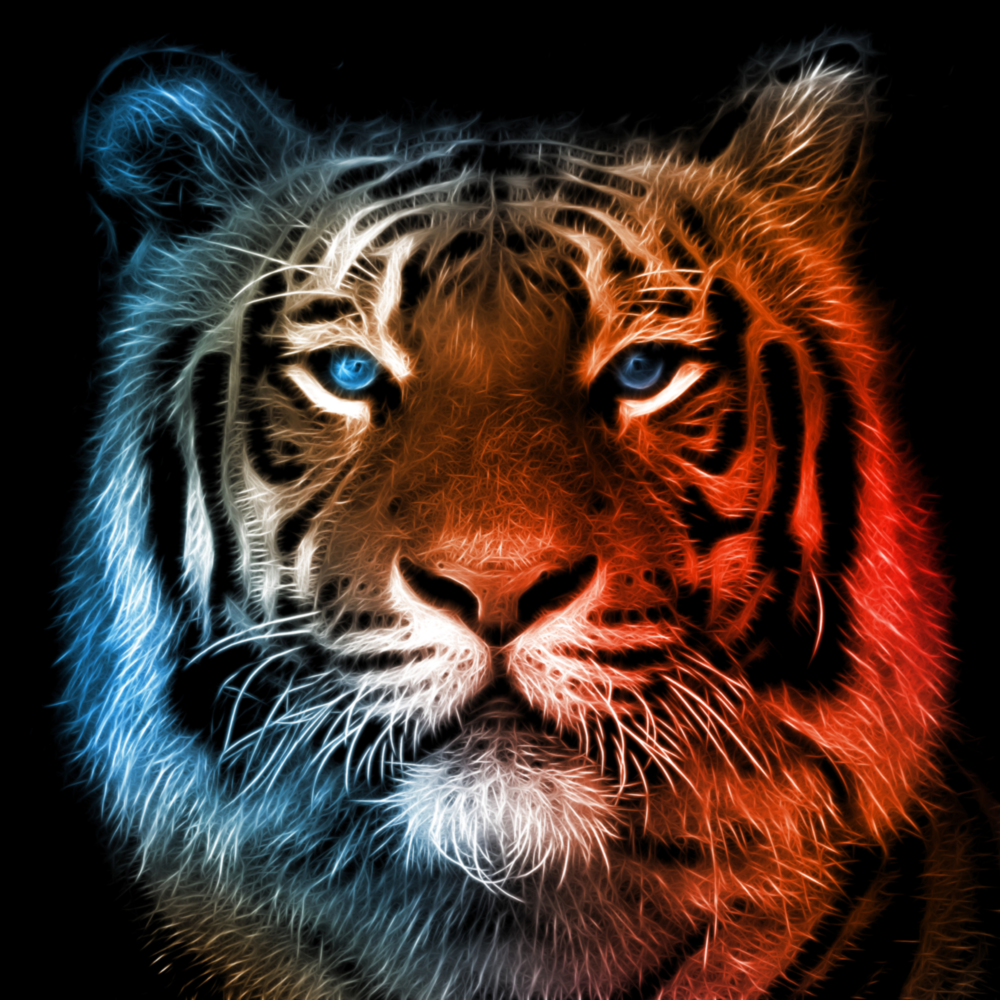 Tiger Glass Wall Art