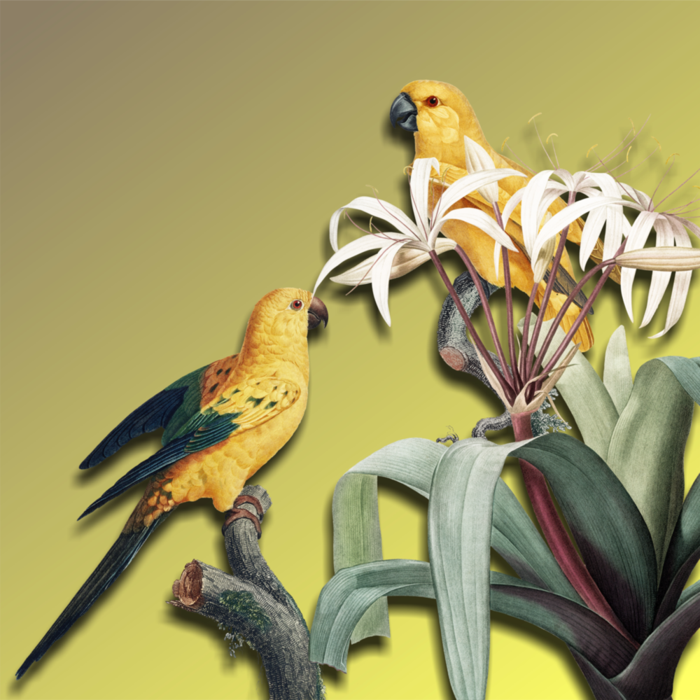 Parrot Glass Wall Art