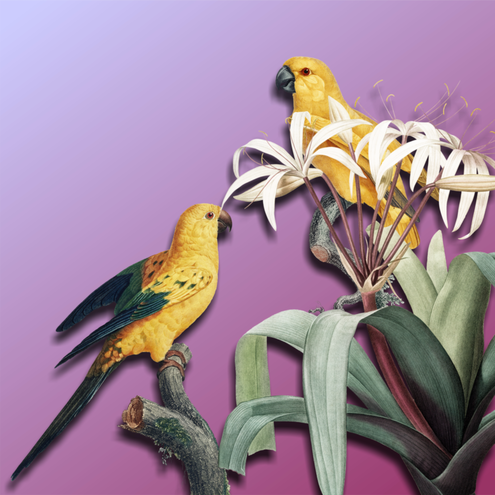 Parrot Glass Wall Art