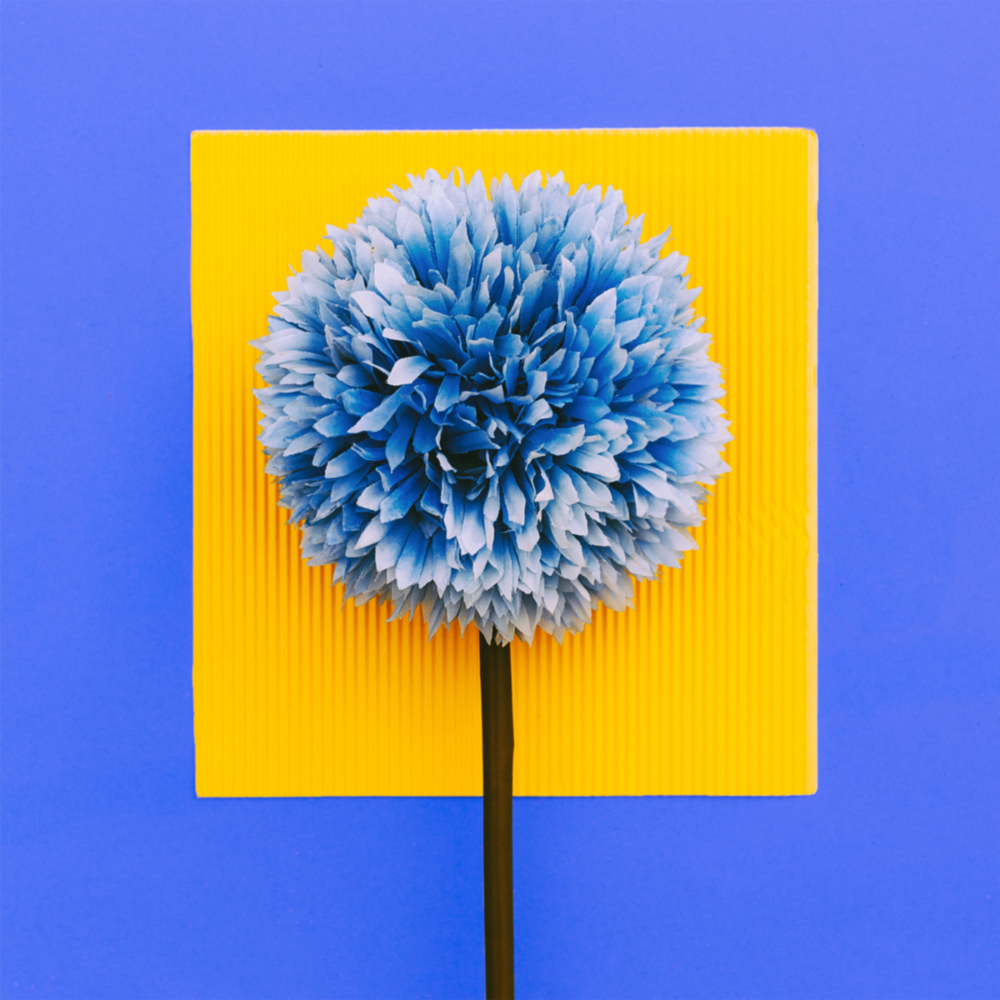 Posture of the Hydrangea Glass Wall Art