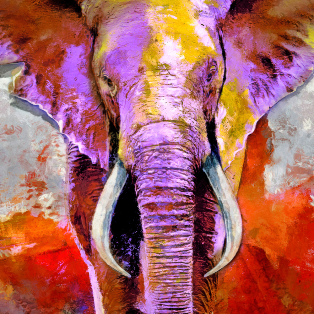 Colorful Elephant Glass Wall Art
