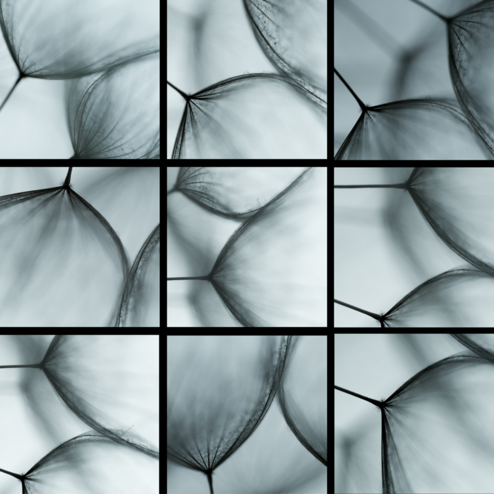 Bee Eye Dandelion Glass Wall Art