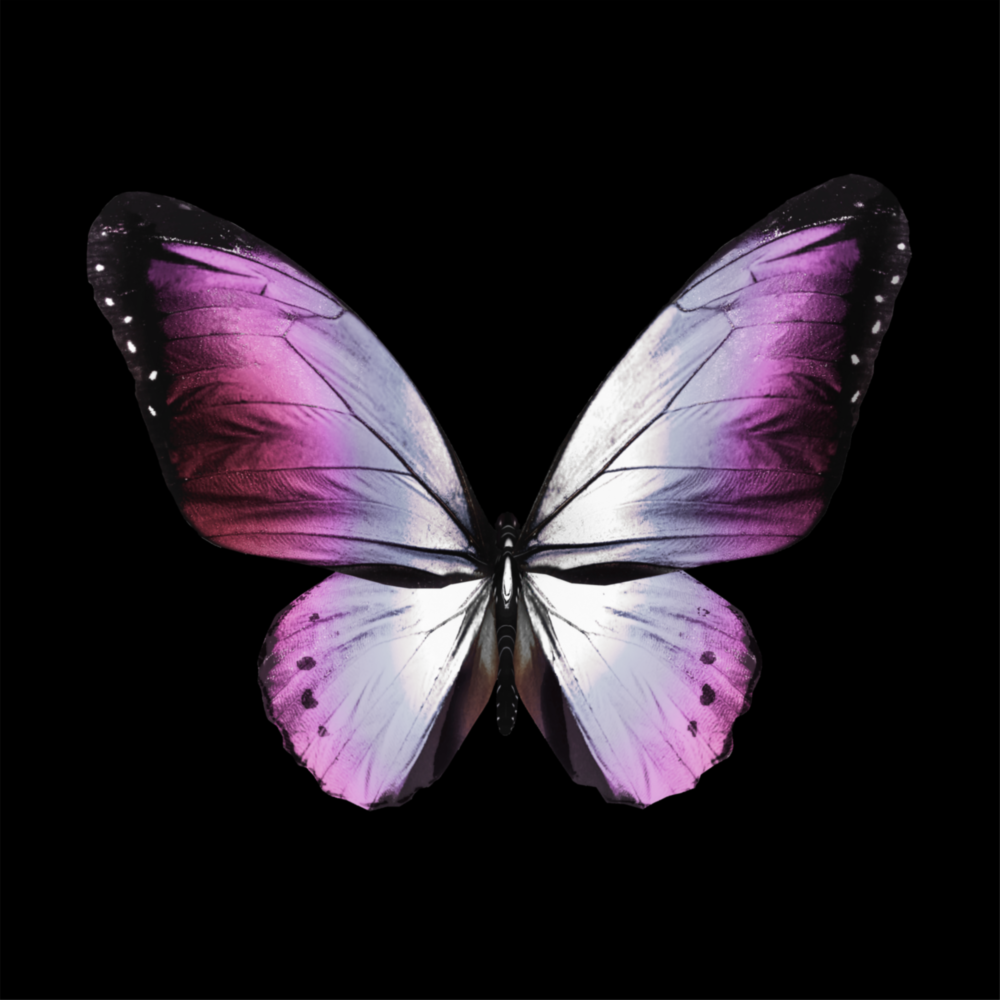 The Elegance of the Butterfly Glass Wall Art