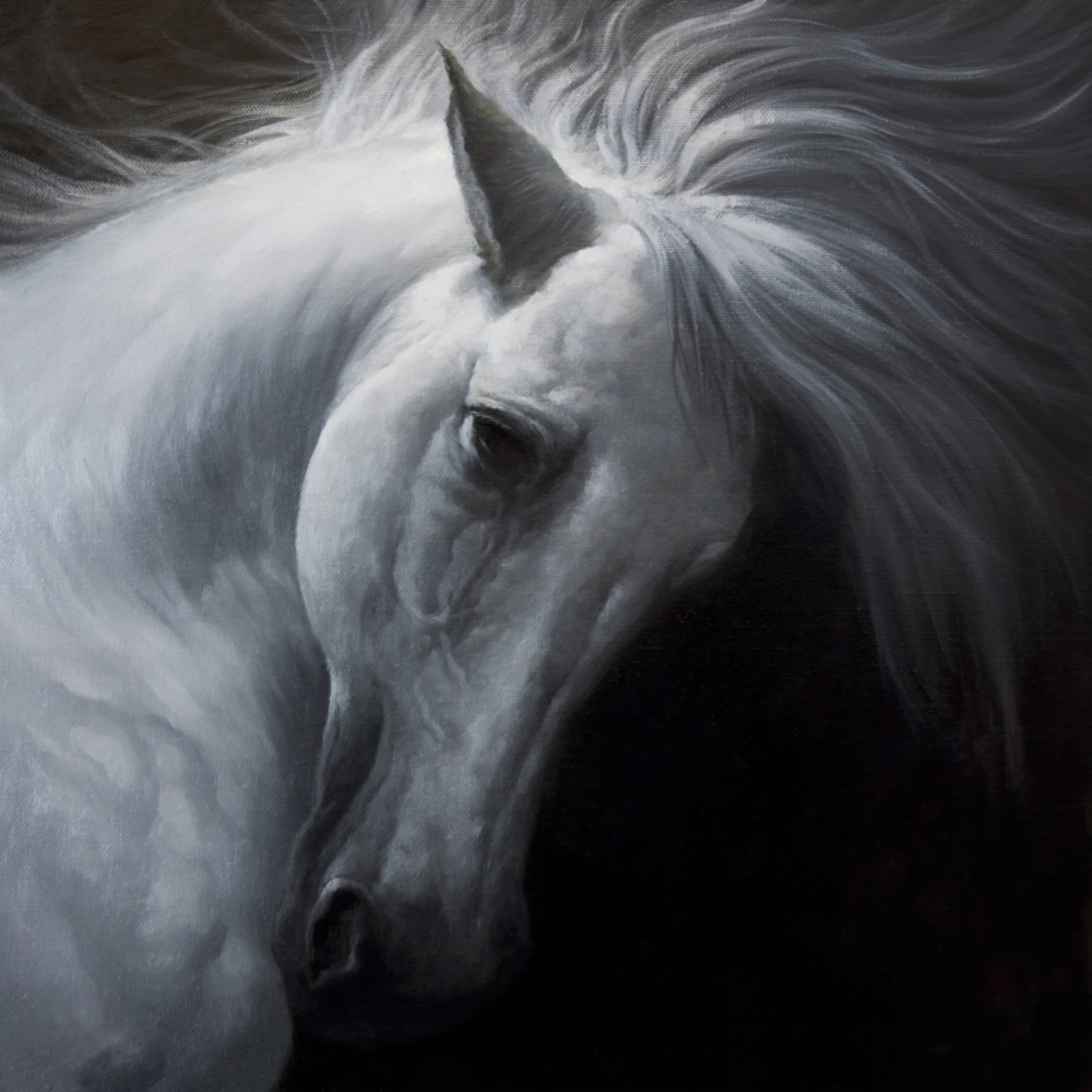 Horse Glass Wall Art