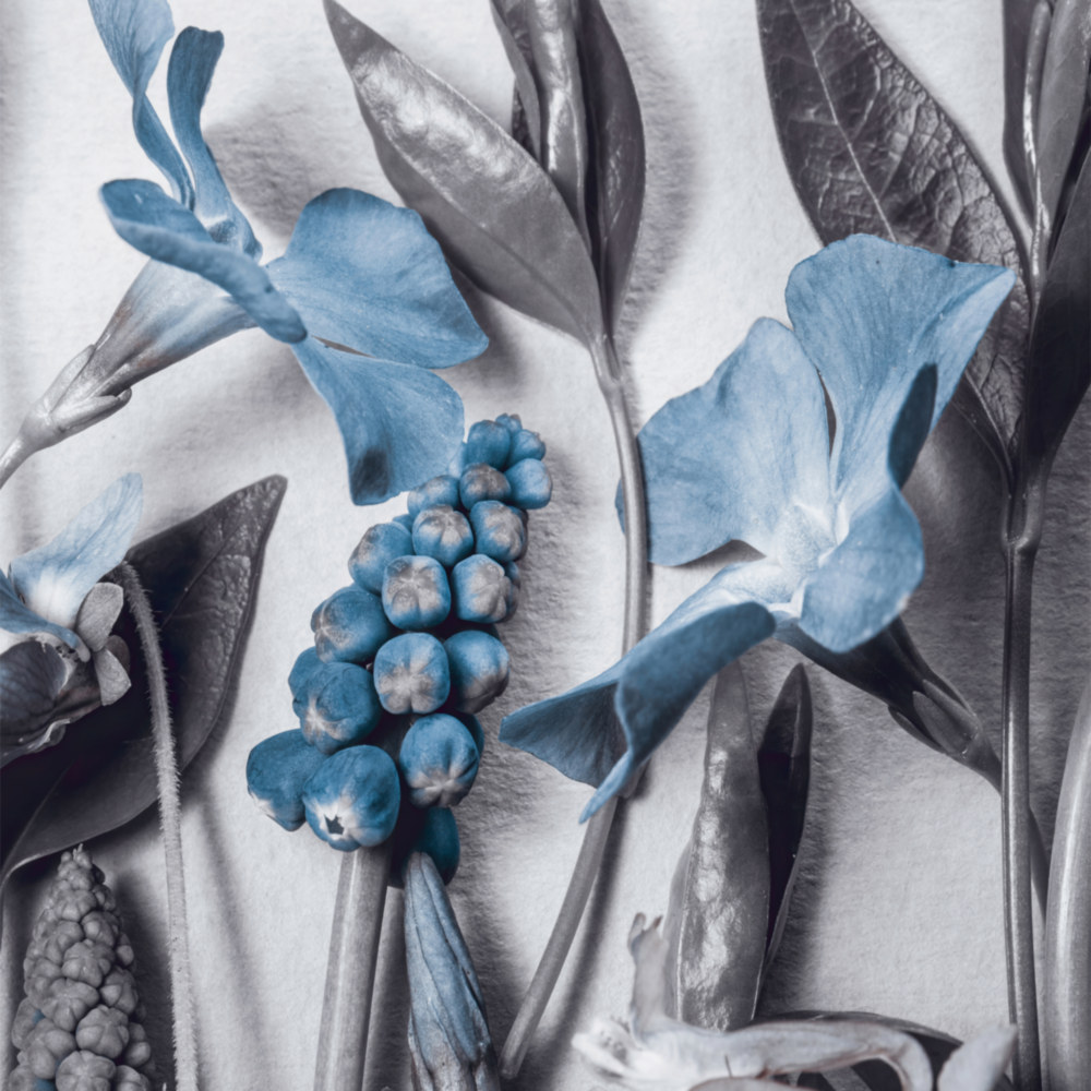 Lily Glass Wall Art