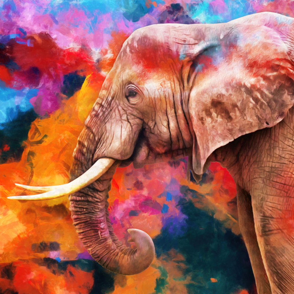 Elephant Glass Wall Art
