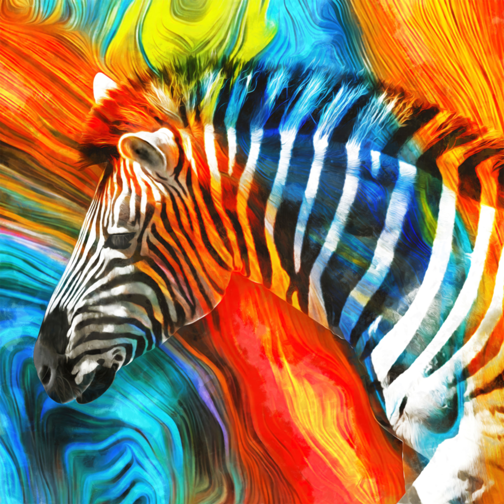 Zebra Glass Wall Art